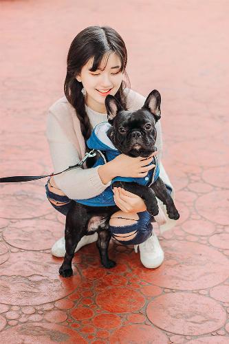 莲花楼电视剧免费观看完整版